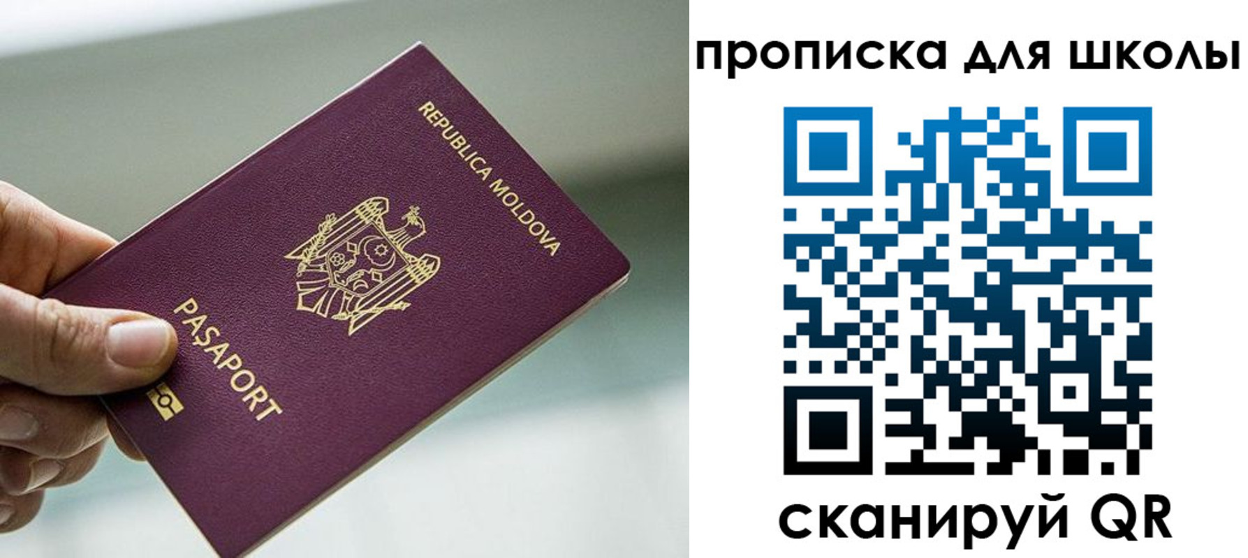 прописка в квартире в Брянской области